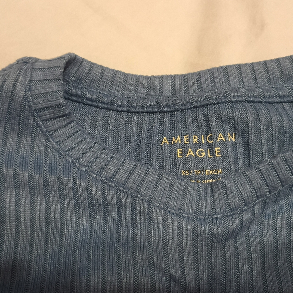 American Eagle Outfitters Blue Crewneck Sweater